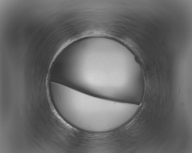 X0000054431382200507290941