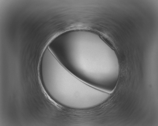 X0000054431383200507290940