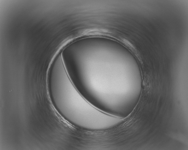 X0000054431384200507290940