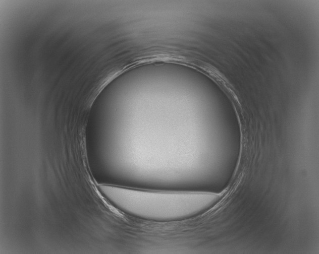 X0000054431385200507290940
