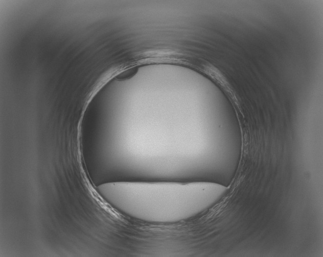 X0000054431386200507290940