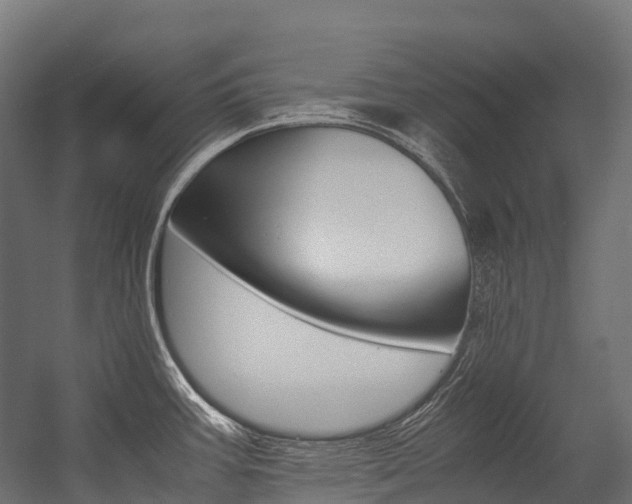 X0000054431387200507290940