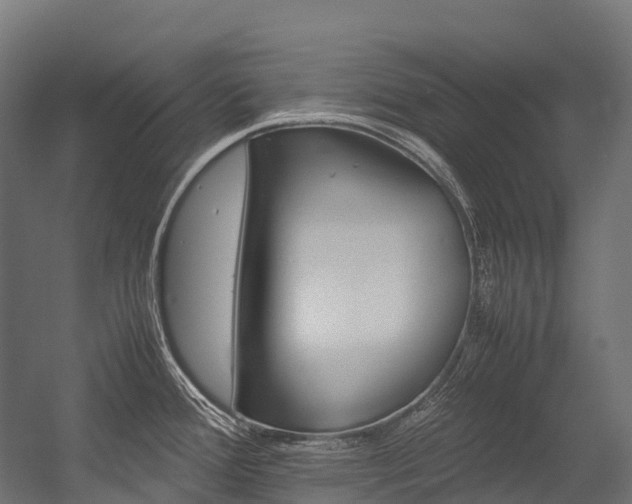 X0000054431388200507290940