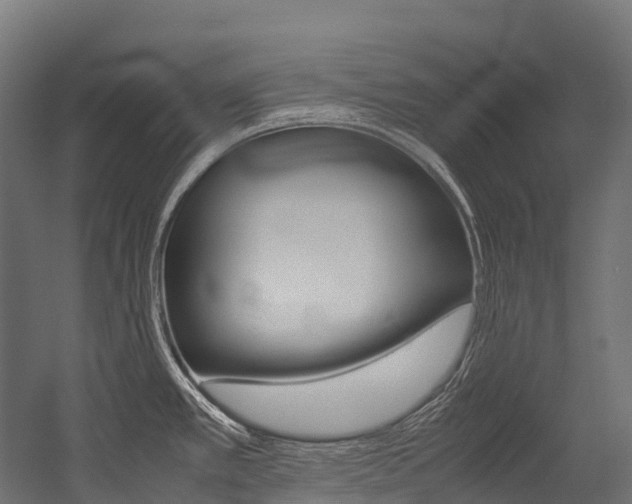 X0000054431389200507290940