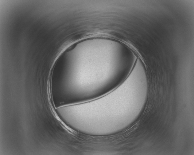 X0000054431391200507290940