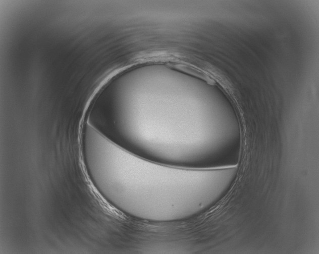 X0000054431392200507290940