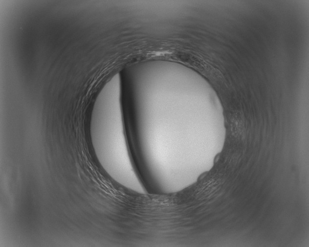X0000054431393200507290940