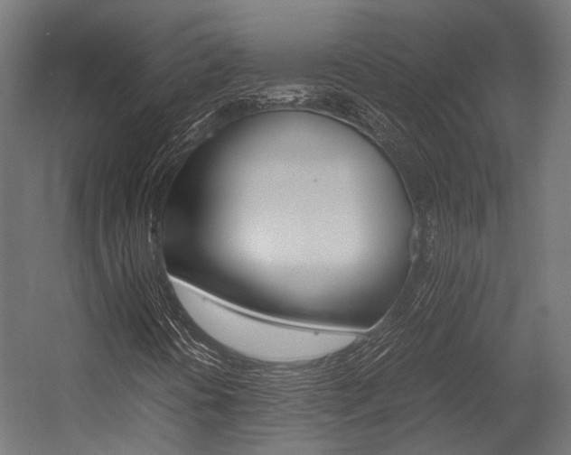 X0000054431394200507290940