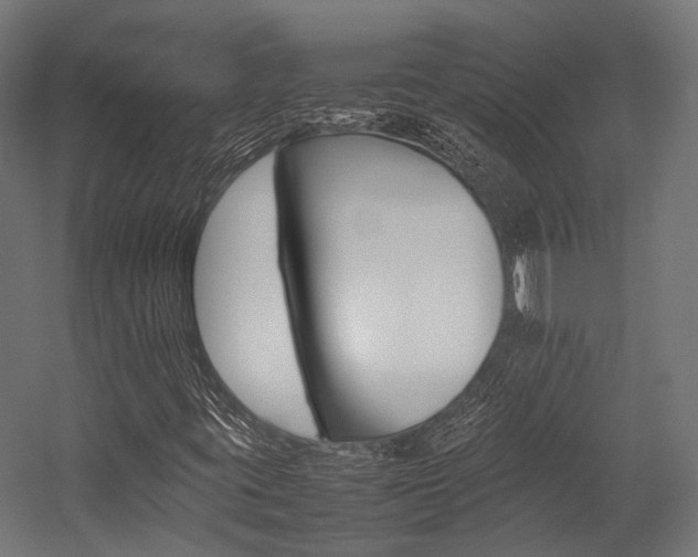 X0000054431395200507290940