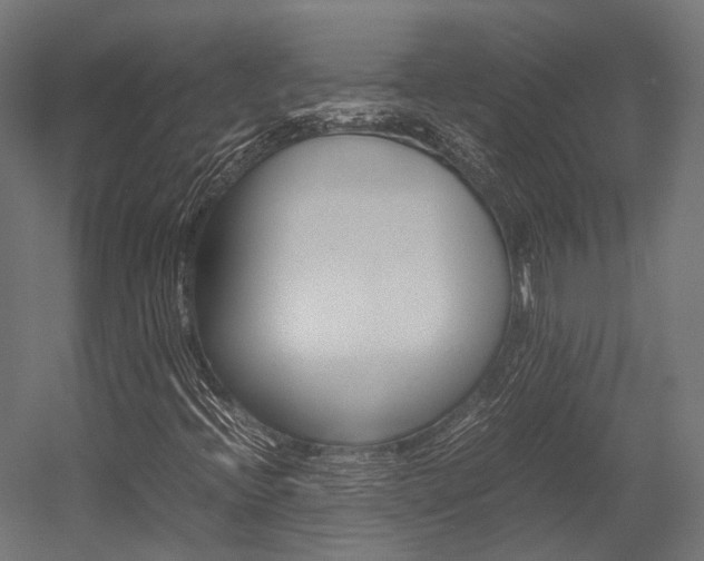 X0000054431396200507290940