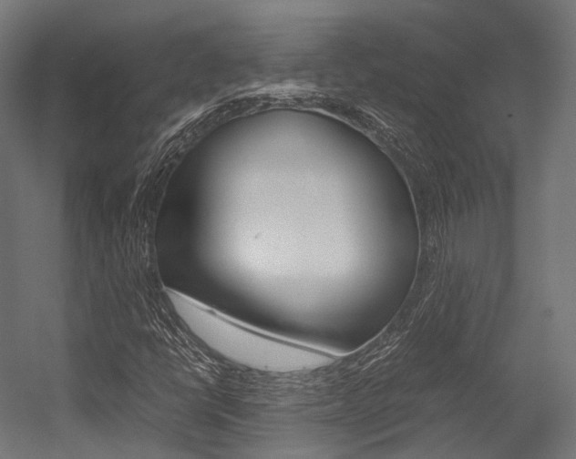 X0000054431398200507290940