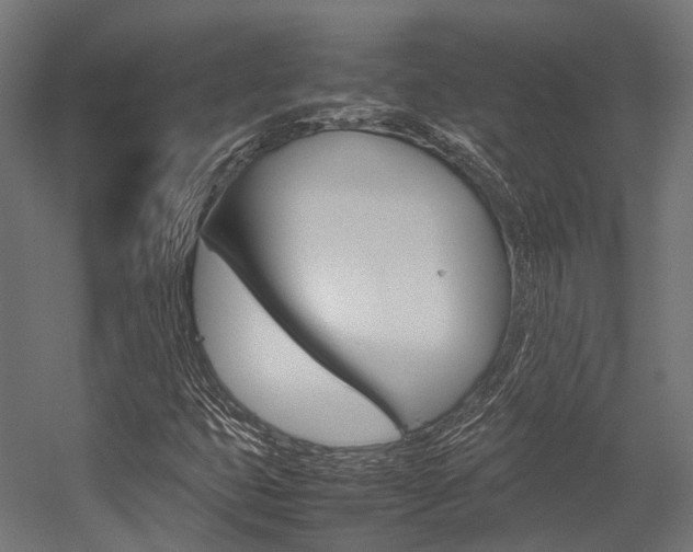 X0000054431399200507290940