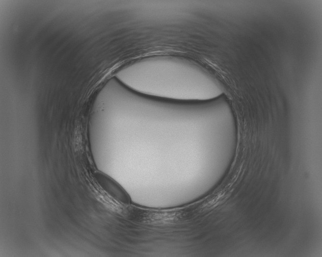 X0000054431401200507290940