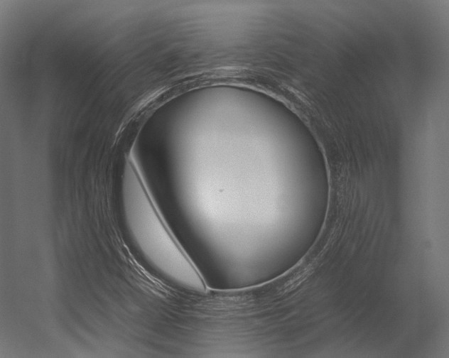 X0000054431402200507290940