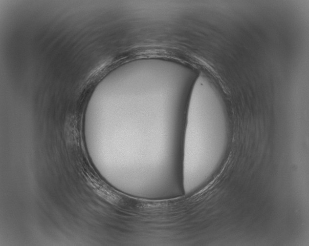 X0000054431403200507290940