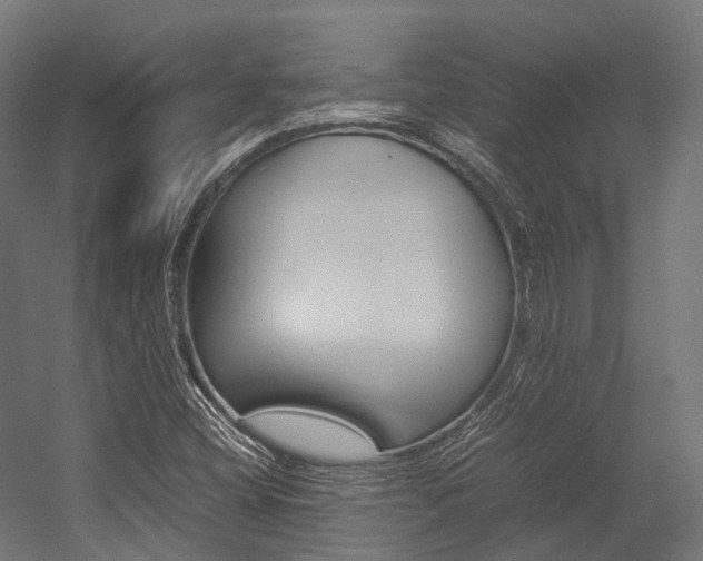 X0000054431404200507290940