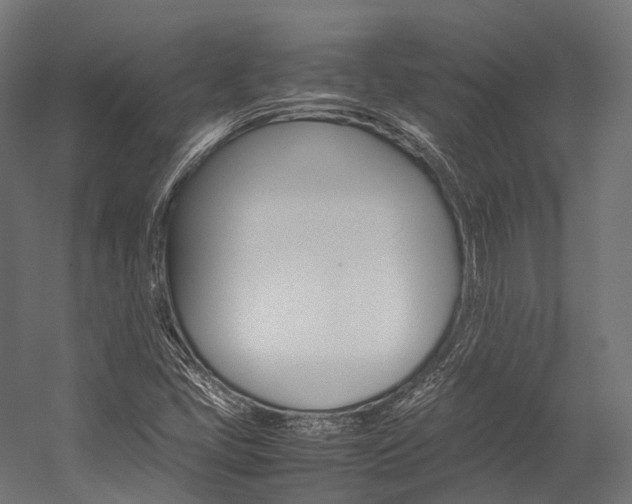 X0000054431405200507290940