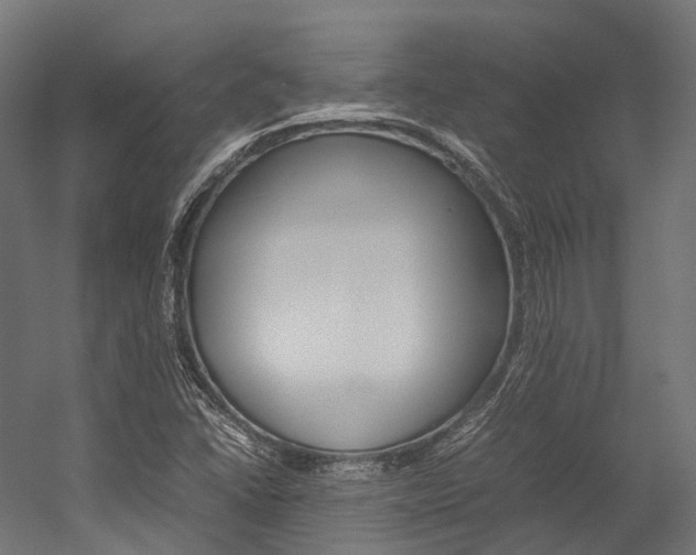 X0000054431406200507290940