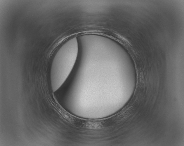 X0000054431407200507290940
