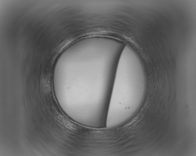 X0000054431409200507290940