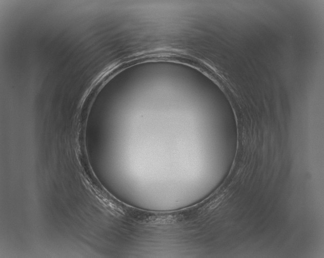 X0000054431410200507290940