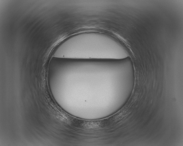 X0000054431411200507290940