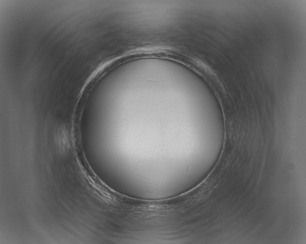 X0000054431412200507290940