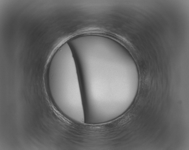 X0000054431413200507290940