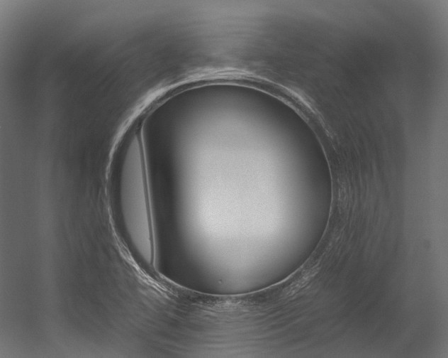 X0000054431414200507290940