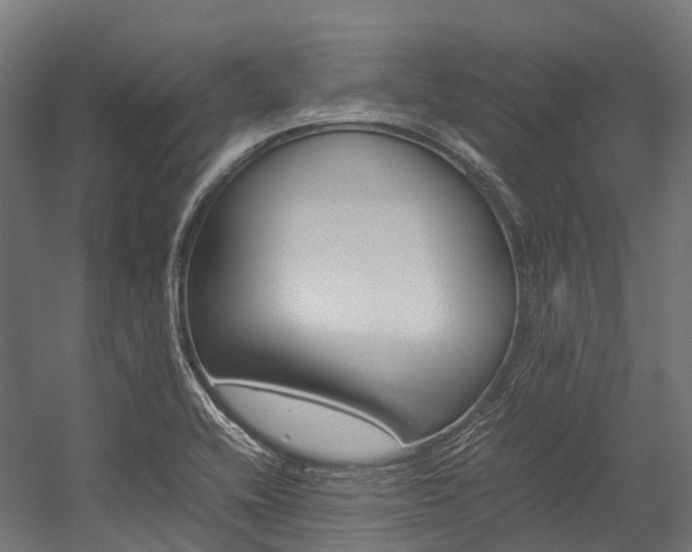 X0000054431416200507290940