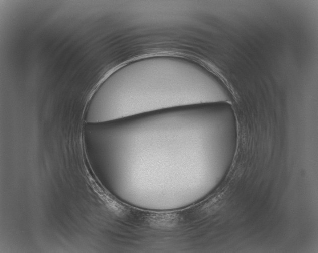 X0000054431417200507290940