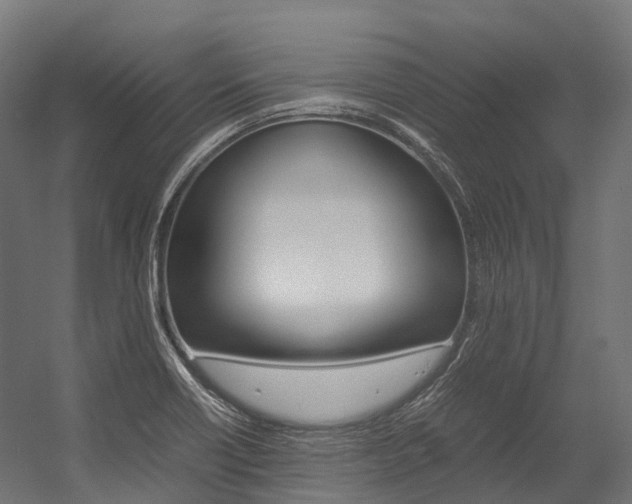 X0000054431418200507290940