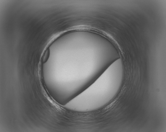 X0000054431421200507290940