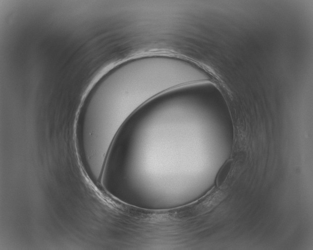 X0000054431422200507290940