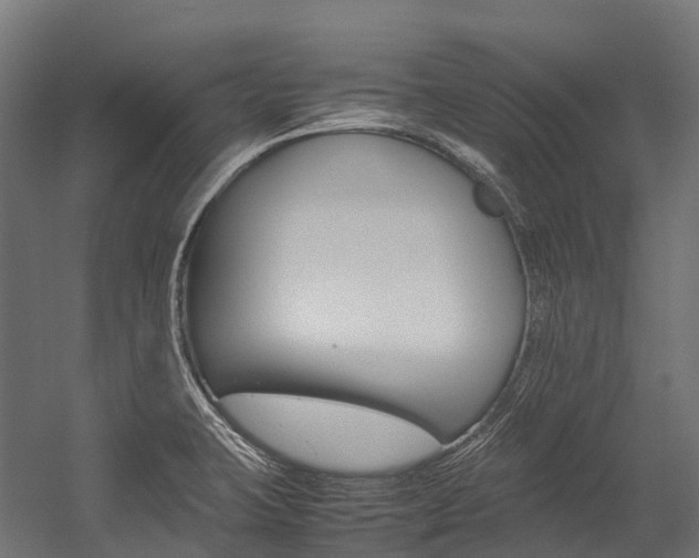 X0000054431423200507290940