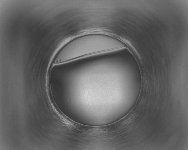 X0000054431424200507290940