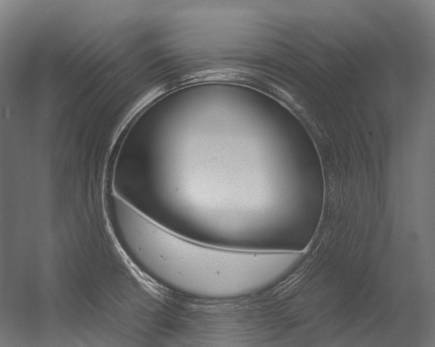 X0000054431426200507290940