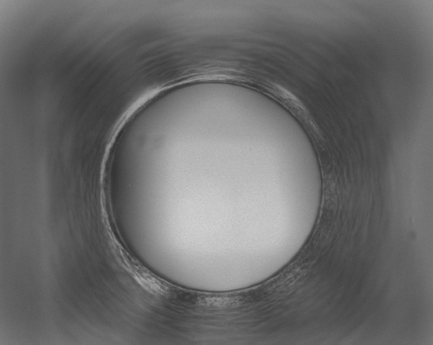 X0000054431427200507290940