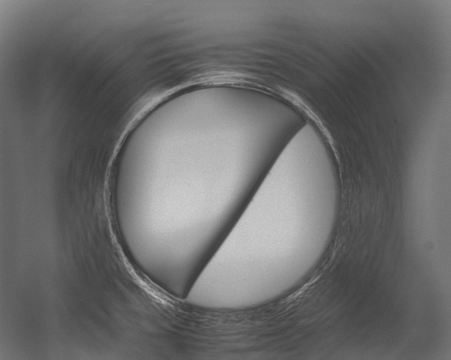 X0000054431429200507290940