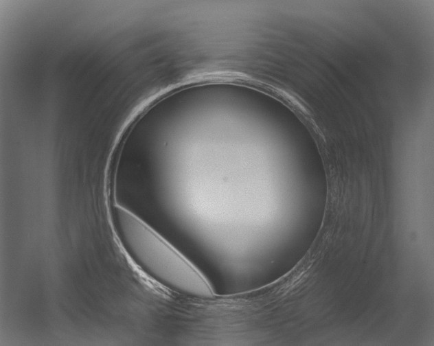 X0000054431430200507290940