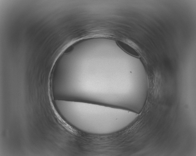 X0000054431431200507290940