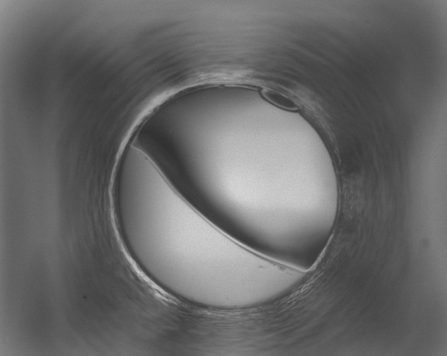 X0000054431432200507290940