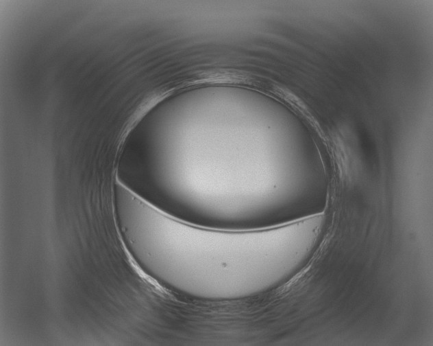 X0000054431433200507290940