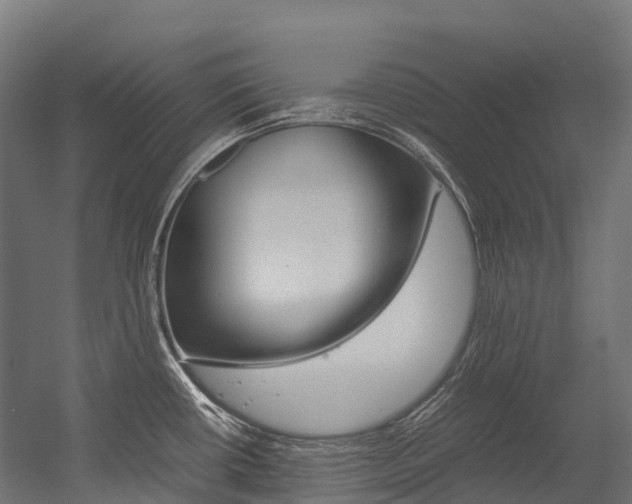 X0000054431434200507290940