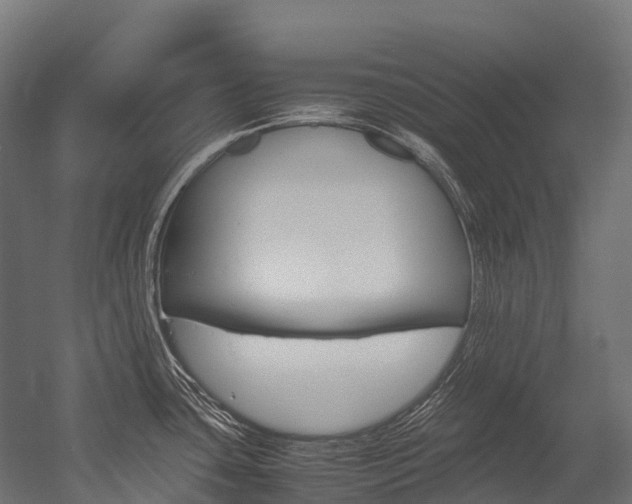 X0000054431435200507290940