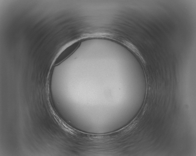 X0000054431436200507290940