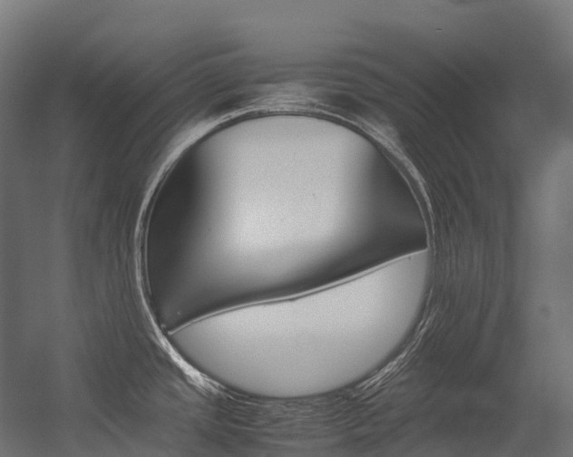 X0000054431437200507290940