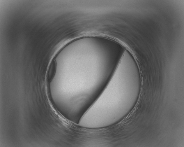 X0000054431440200507290940