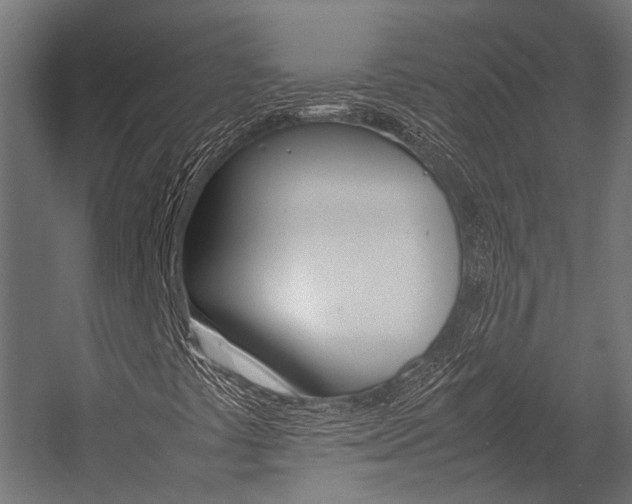 X0000054431441200507290940