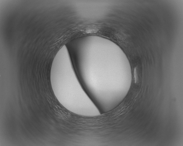 X0000054431443200507290939